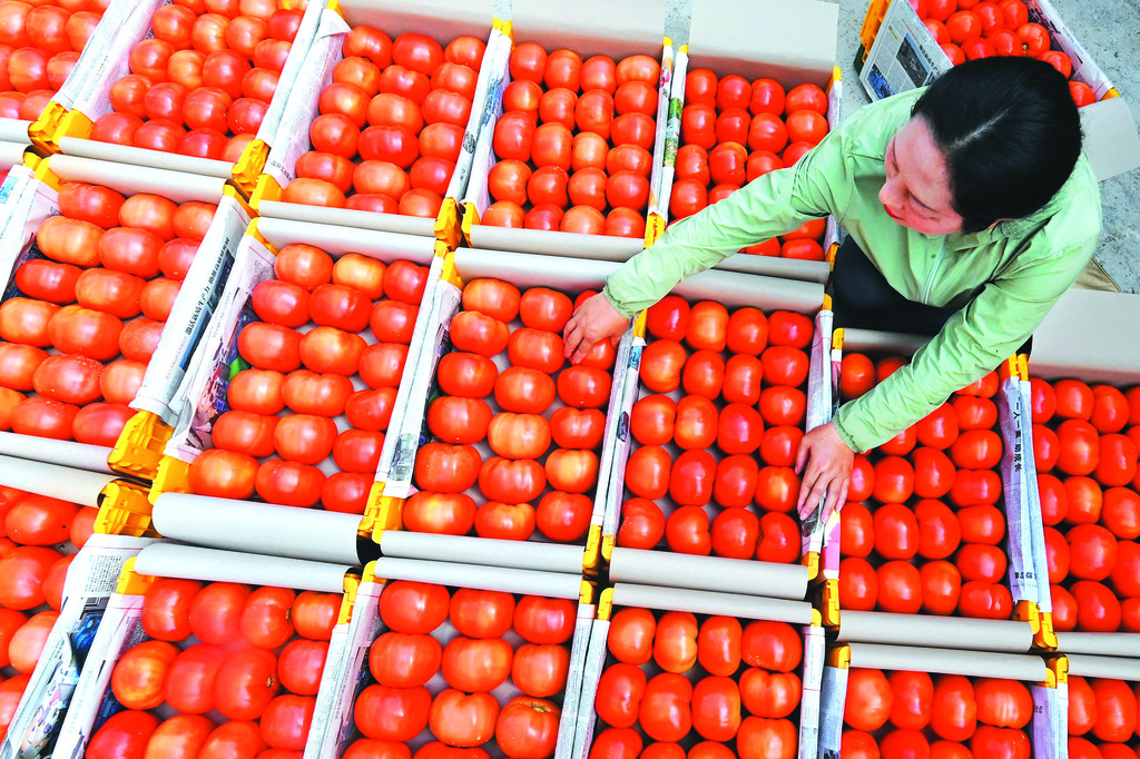 QQ图片20250911190728