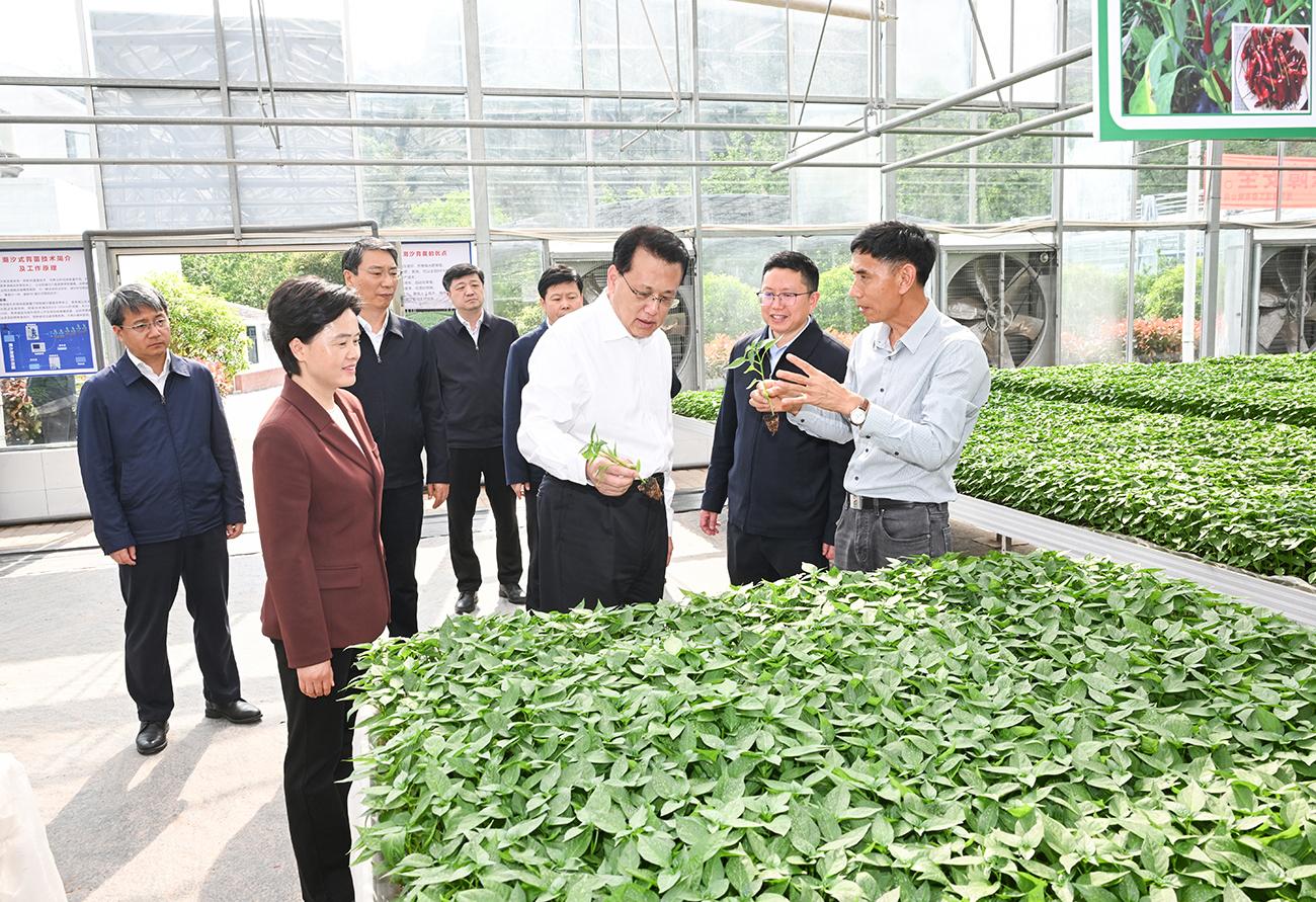 177573826997395833552458405440