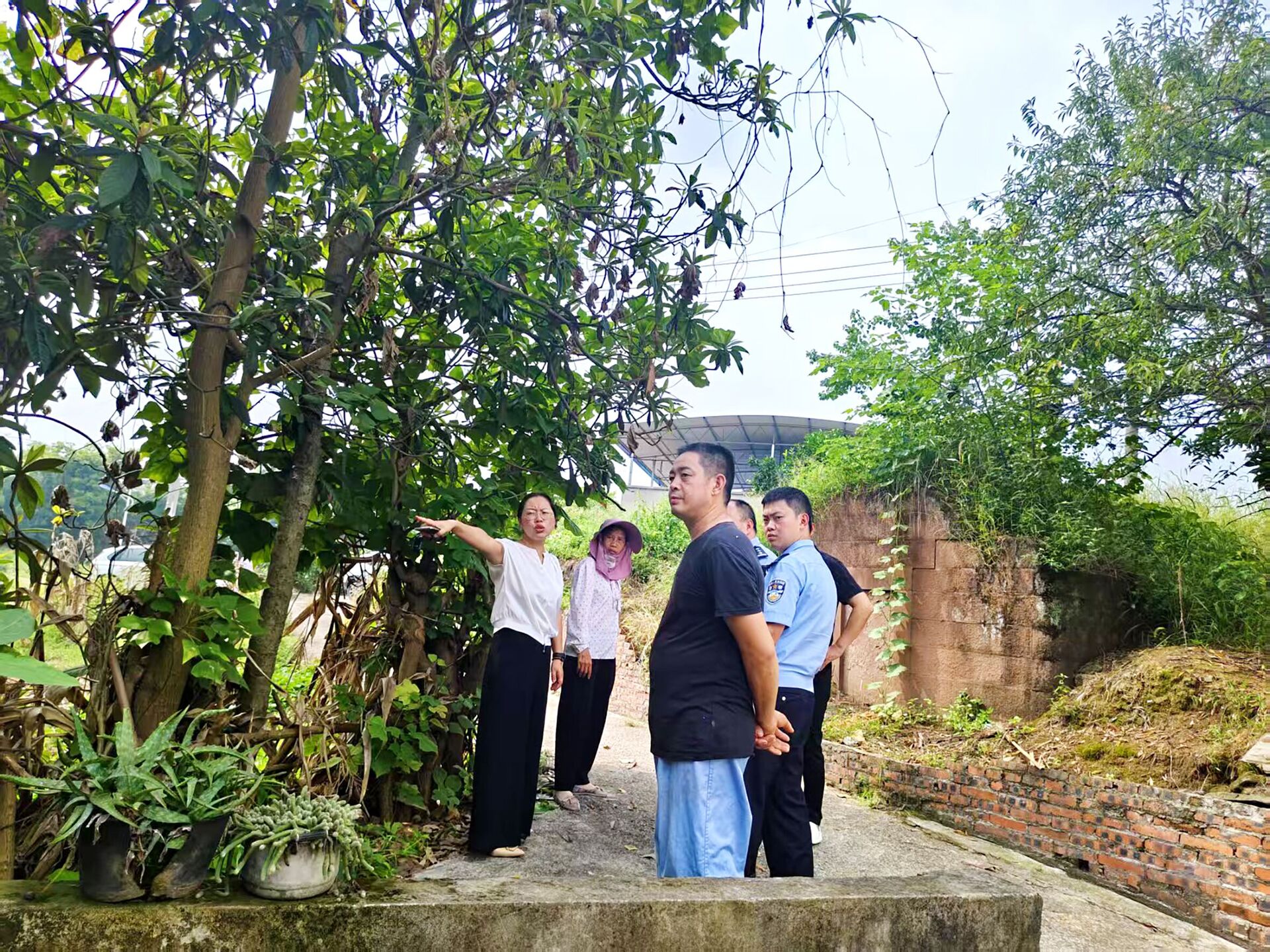 QQ图片20251015205715