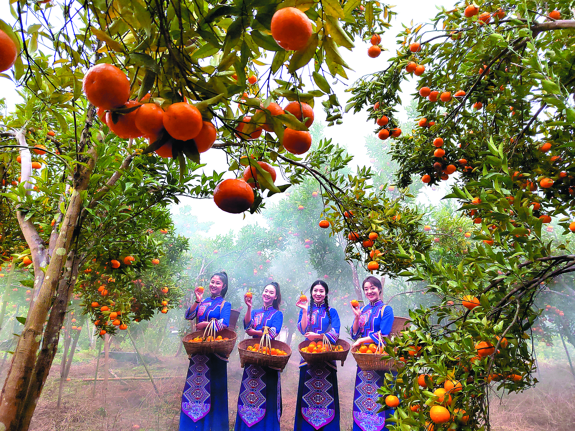 6F5952B35784888B5942396F4D54B7D8