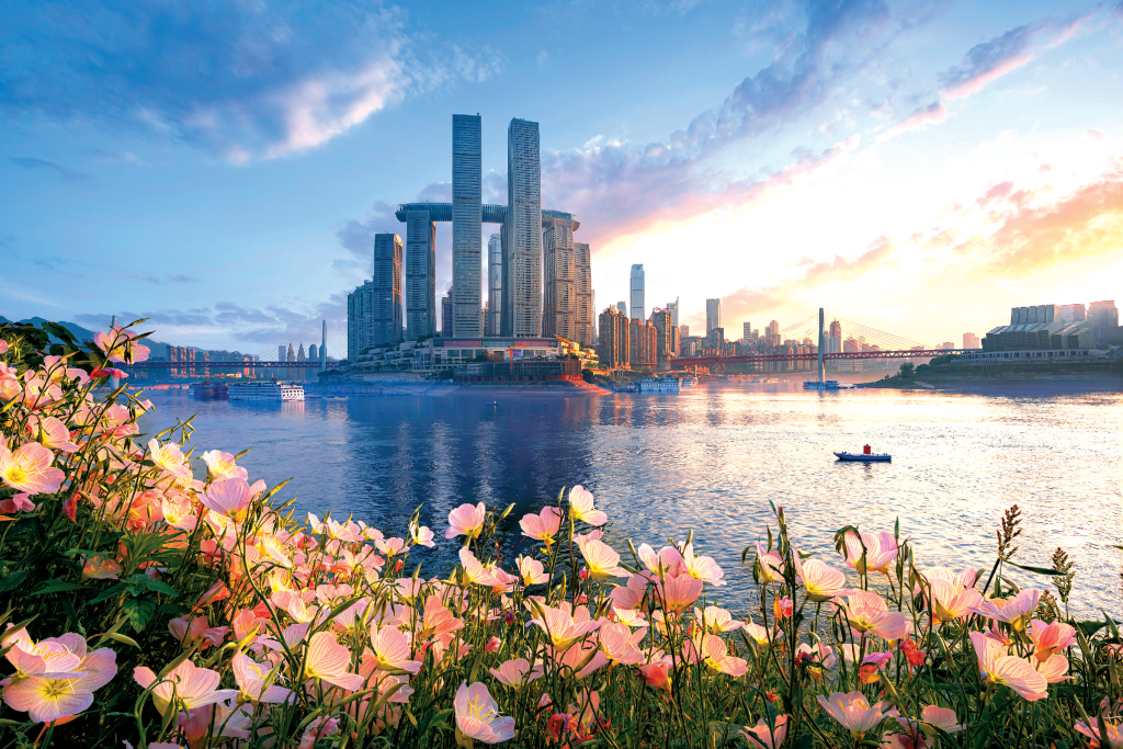 2025年市人大工作巡礼·改革破题