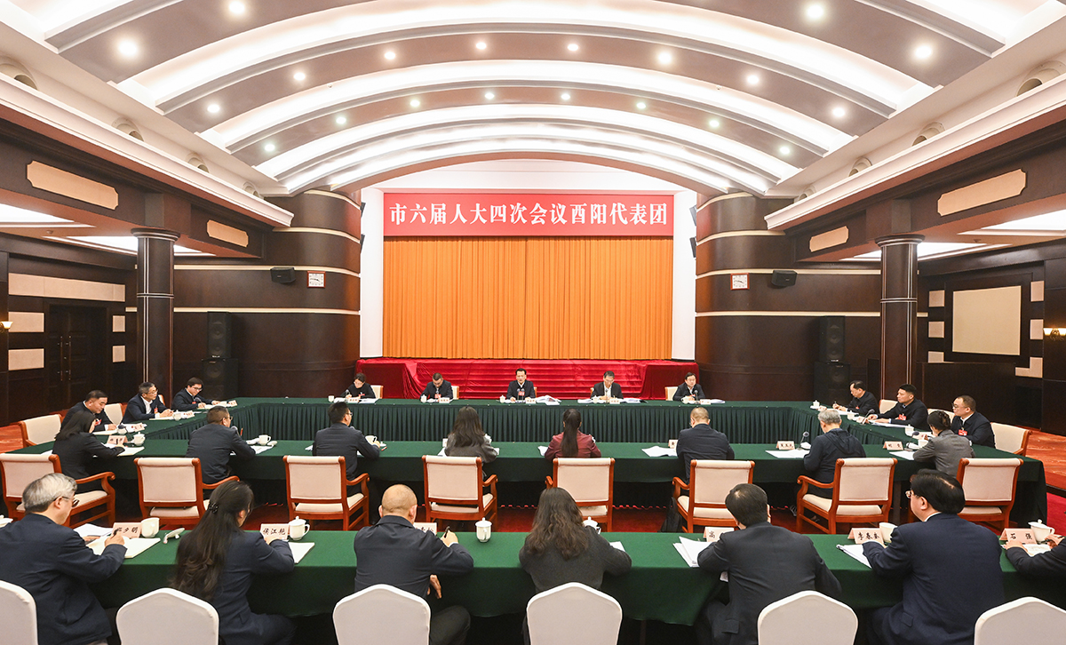 袁家军参加酉阳代表团审议