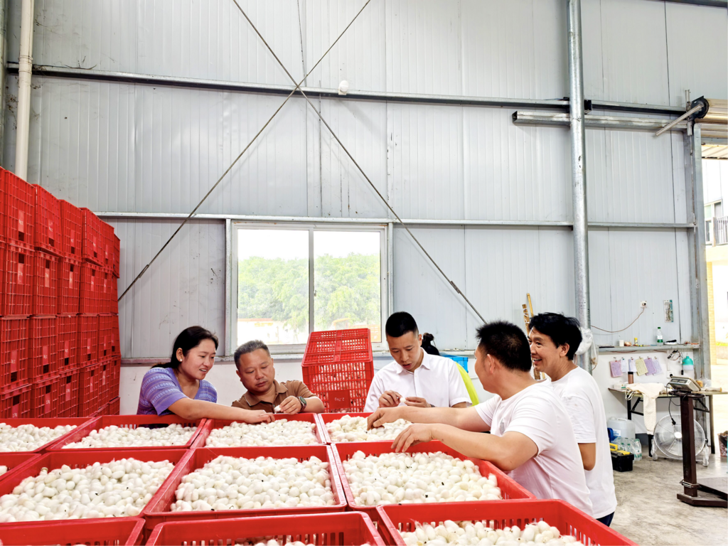 QQ图片20250702195846