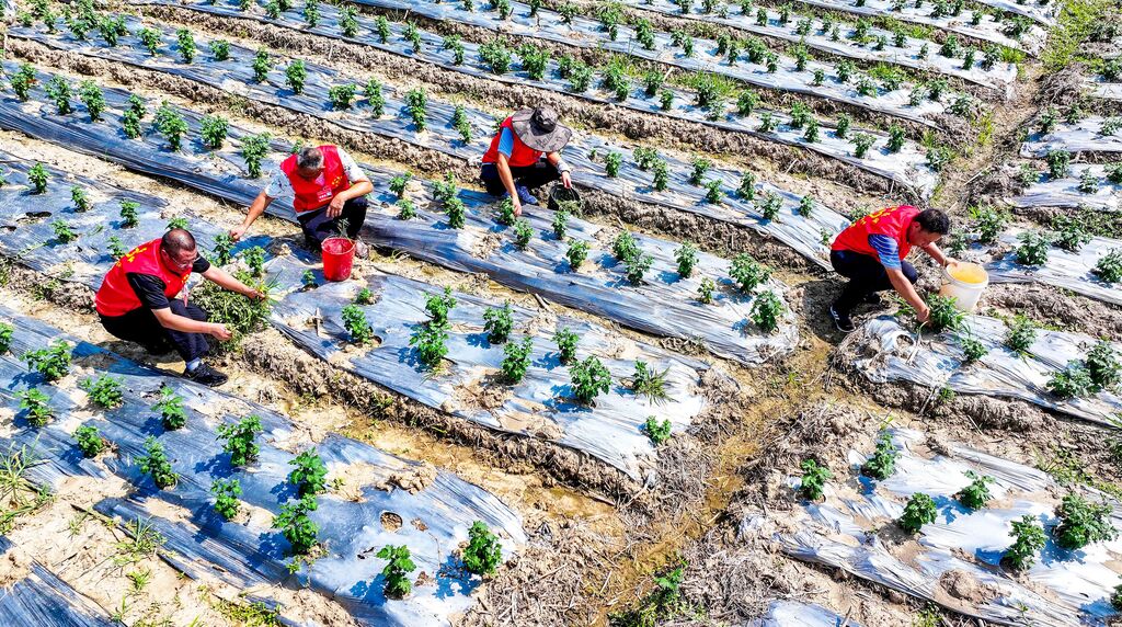 QQ图片20250813193709