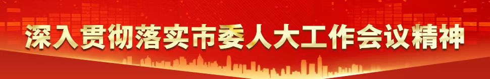 深入贯彻落实市委人大工作会议精神