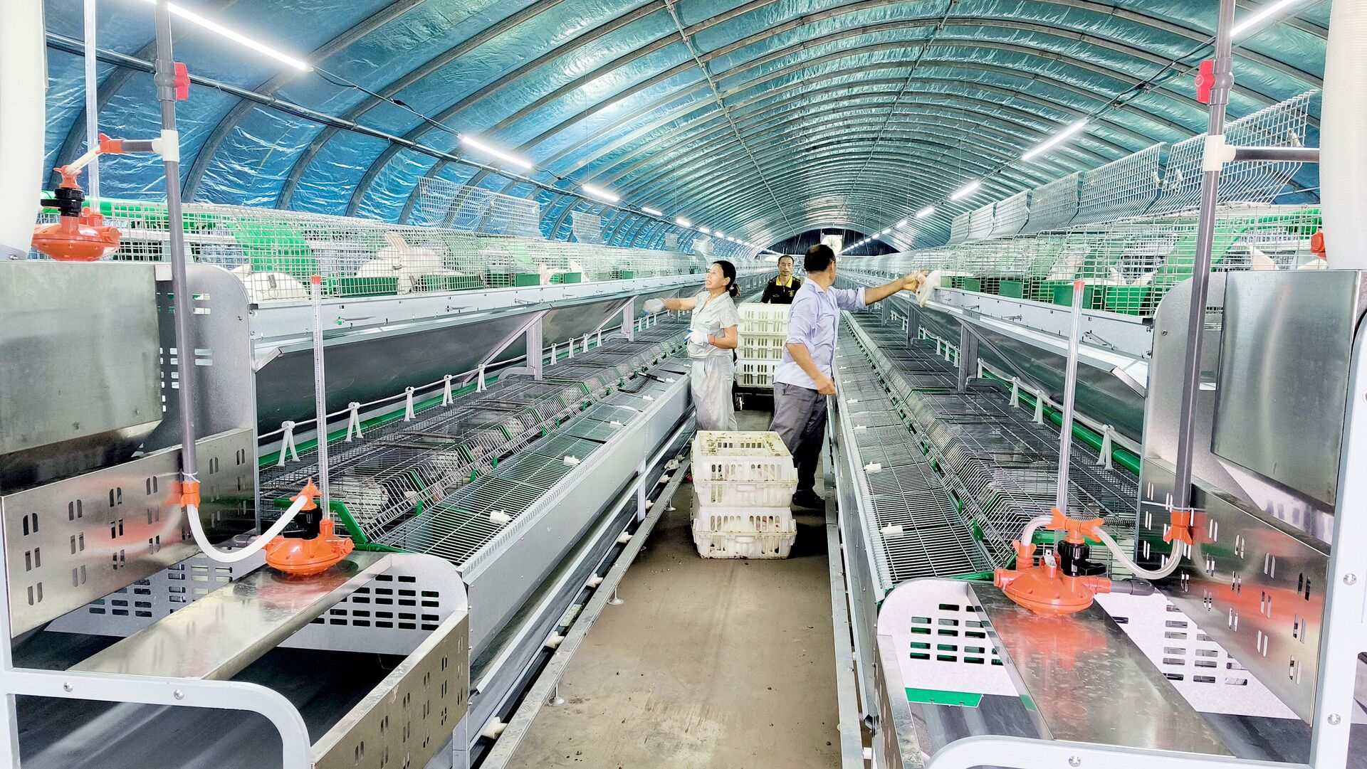 QQ图片20260112214756