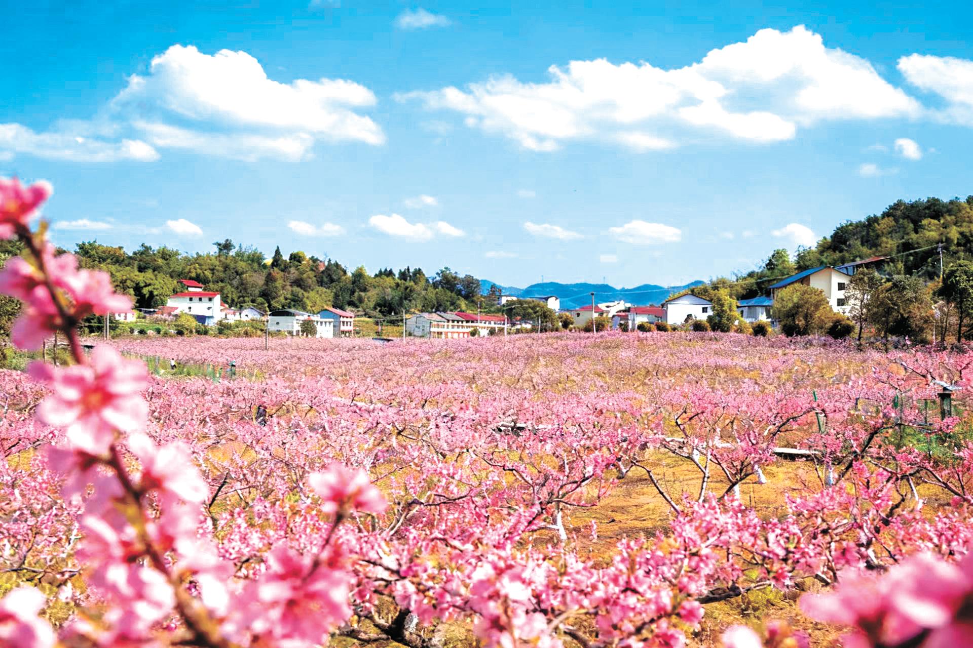 铜梁围龙镇花花